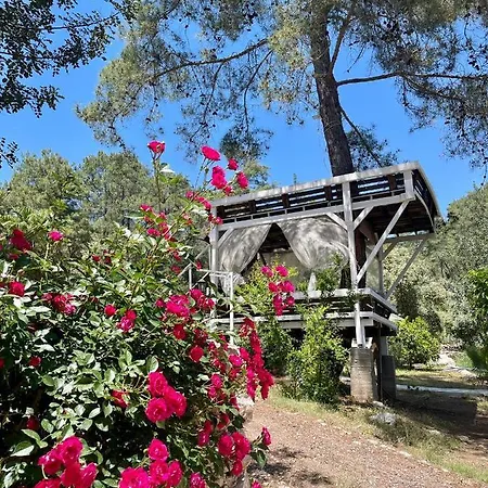 Olympos Angels Garden 호텔 Kumluca