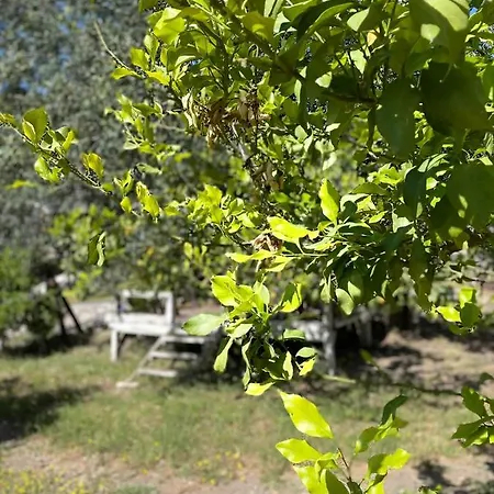 Olympos Angels Garden 호텔