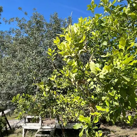 호텔 Olympos Angels Garden 3*