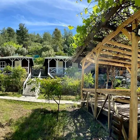 Olympos Angels Garden 호텔